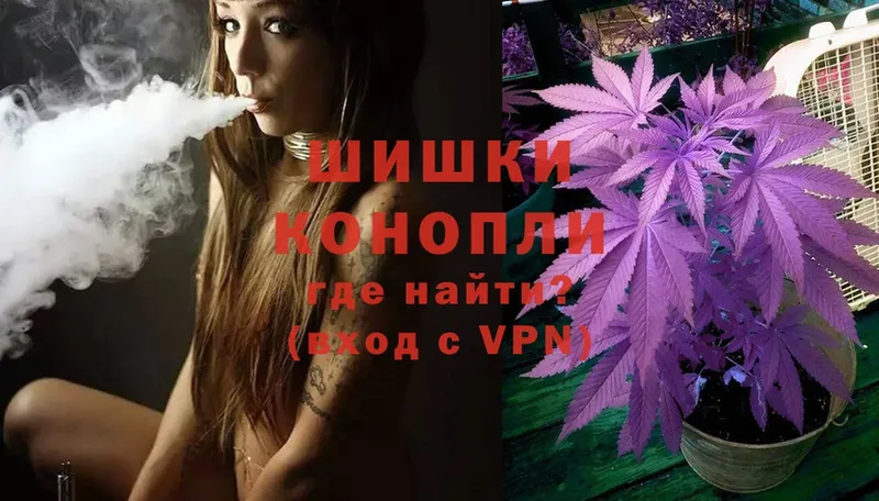 Каннабис OG Kush  OMG ТОР  Балей  купить закладку 